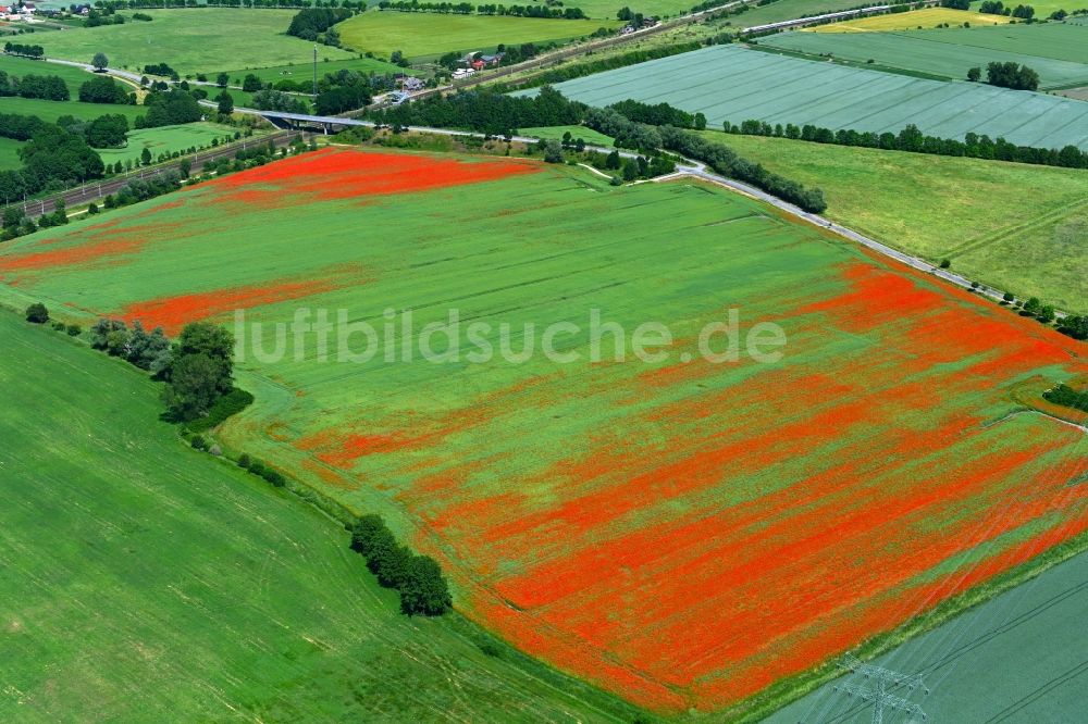 Insel von oben - Feld- Landschaft rot blühender Mohn- Blüten in Insel im Bundesland Sachsen-Anhalt, Deutschland
