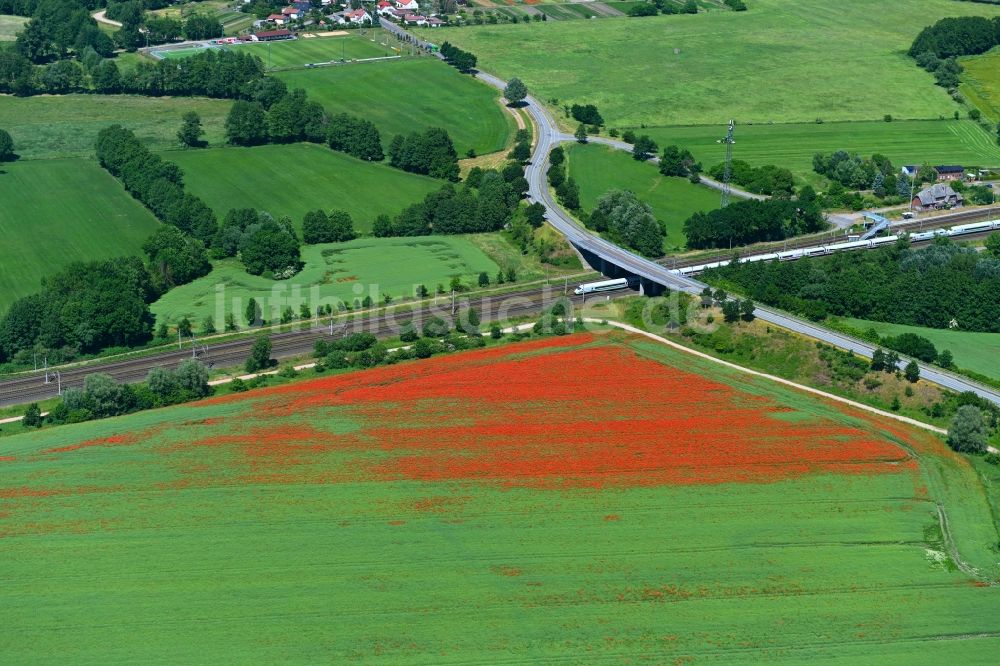 Luftbild Insel - Feld- Landschaft rot blühender Mohn- Blüten in Insel im Bundesland Sachsen-Anhalt, Deutschland