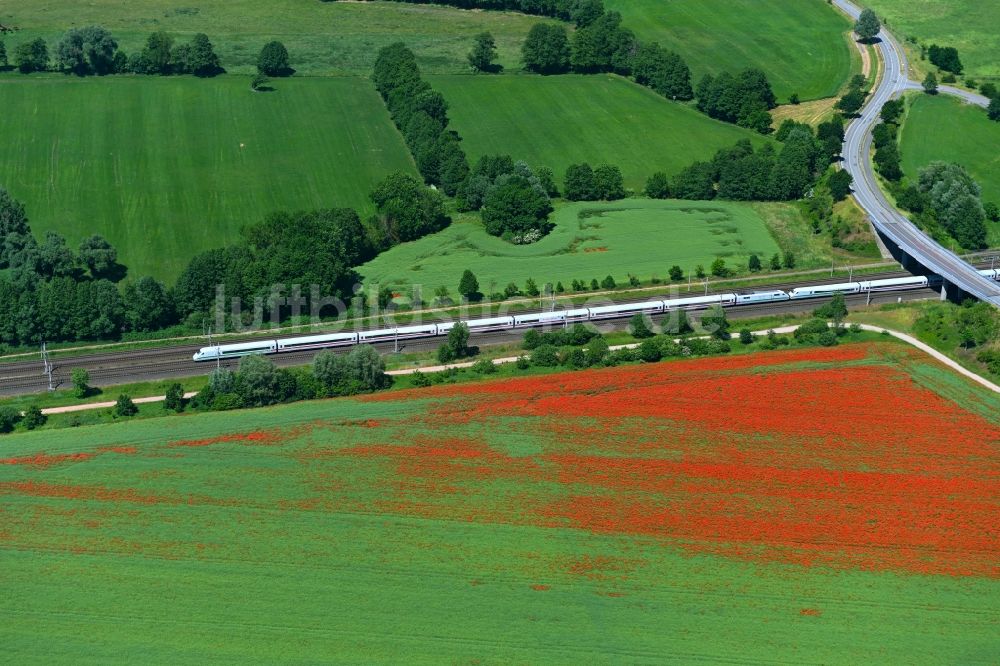 Luftaufnahme Insel - Feld- Landschaft rot blühender Mohn- Blüten in Insel im Bundesland Sachsen-Anhalt, Deutschland