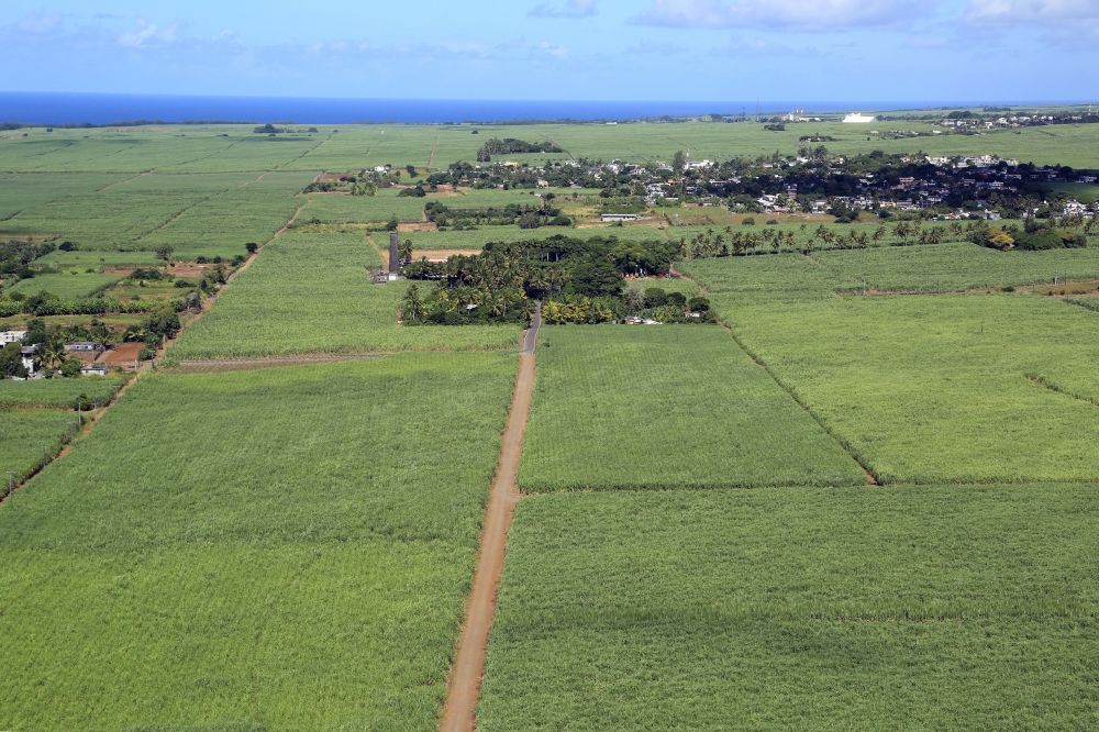 Union Vale aus der Vogelperspektive: Feld- Landschaft mit Zuckerrohr in Union Vale in Grand Port, Mauritius