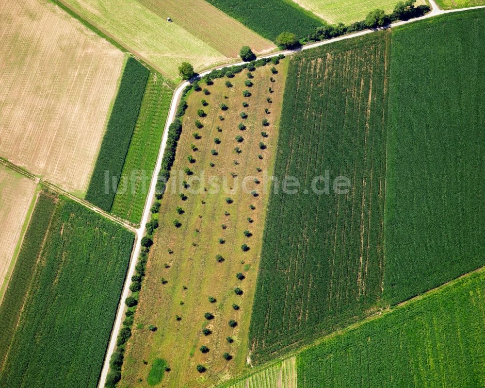 Luftbild Bad Krozingen OT Hausen a. d. M - Feld - Strukturen - Landschaft bewirtschafteter landwirtschaftlicher Nutzflächen bei Bad Krozingen im Bundesland Baden-Württemberg BW