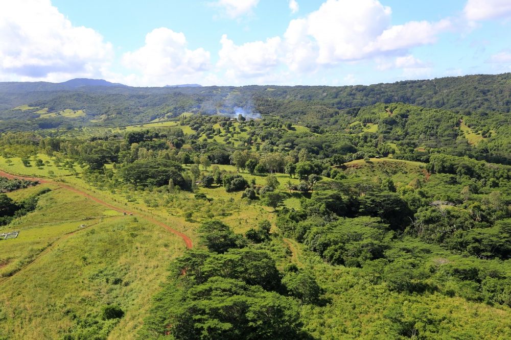 Chamarel aus der Vogelperspektive: Feld- und Wald- Landschaft mit Landwirtschaft im Hinterland von Chamarel im Bezirk Savanne, Mauritius