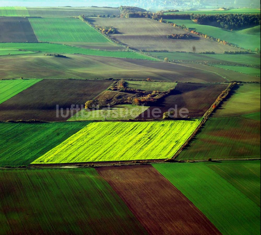 Luftbild Osterwieck - Feldansicht bei Osterwieck