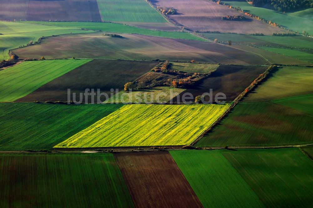 Luftaufnahme Osterwieck - Feldansicht bei Osterwieck
