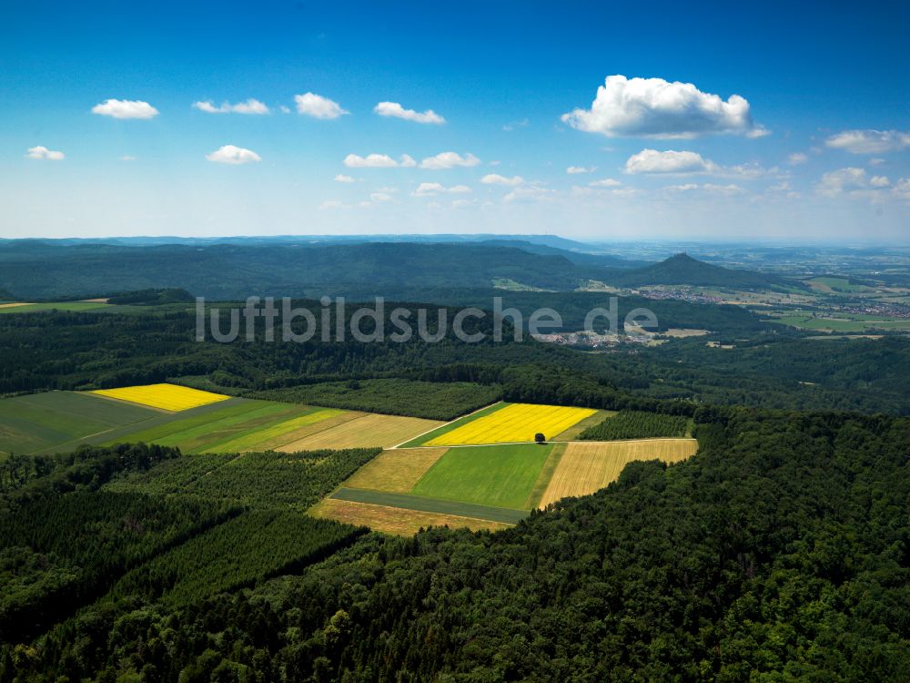 Burladingen aus der Vogelperspektive: Felder und angrenzende Waldgebiete in Burladingen im Bundesland Baden-Württemberg, Deutschland