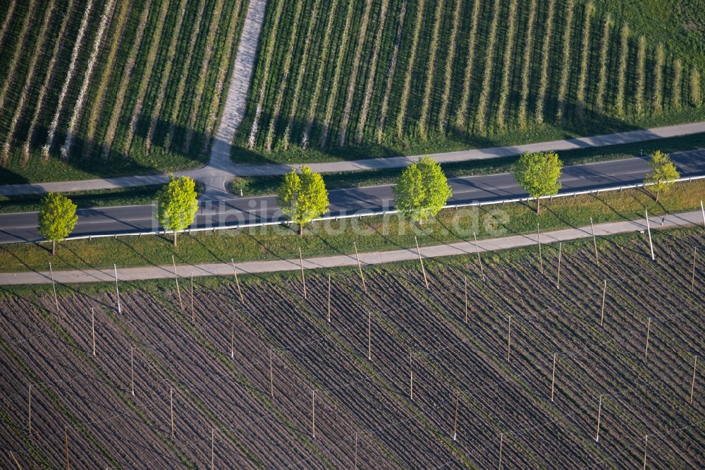 Luftbild Friedrichshafen - Felder und angrenzende Waldgebiete in Friedrichshafen im Bundesland Baden-Württemberg, Deutschland