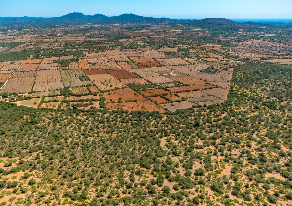 Luftaufnahme Santanyi - Felder und angrenzende Waldgebiete in Santanyi in Balearische Inseln, Spanien