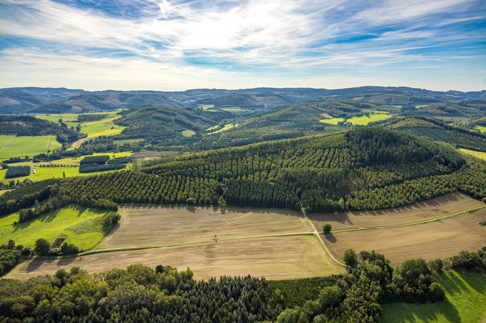 Luftaufnahme Sundern (Sauerland) - Felder und angrenzende Waldgebiete in Sundern (Sauerland) im Bundesland Nordrhein-Westfalen, Deutschland