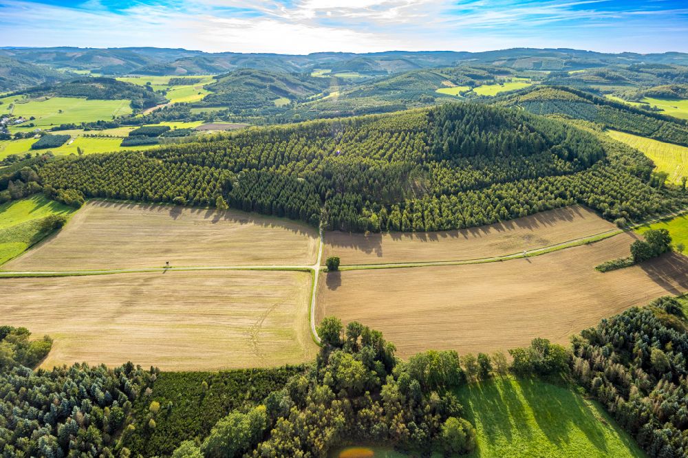 Sundern (Sauerland) von oben - Felder und angrenzende Waldgebiete in Sundern (Sauerland) im Bundesland Nordrhein-Westfalen, Deutschland