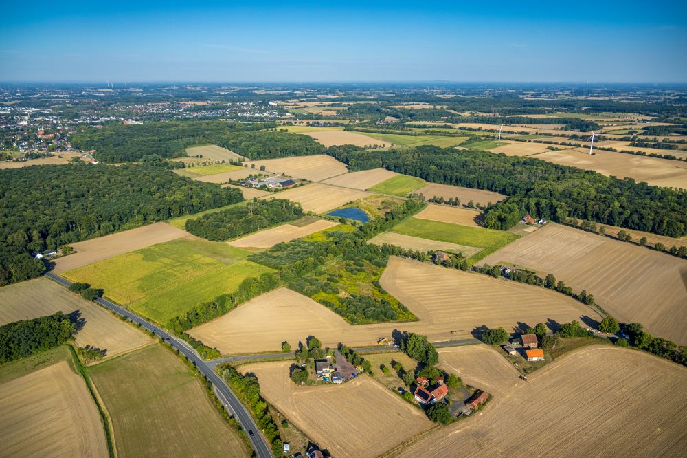 Westhusen aus der Vogelperspektive: Felder und angrenzende Waldgebiete in Westhusen im Bundesland Nordrhein-Westfalen, Deutschland