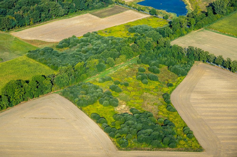 Westhusen aus der Vogelperspektive: Felder und angrenzende Waldgebiete in Westhusen im Bundesland Nordrhein-Westfalen, Deutschland