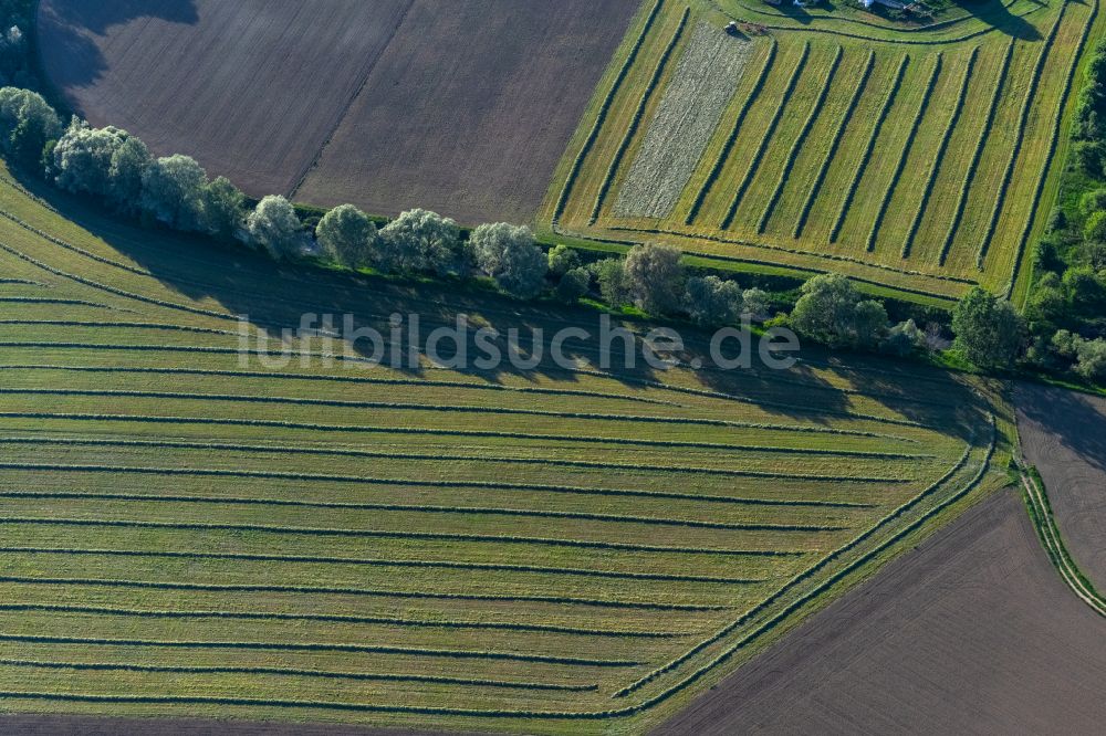 Luftbild Bermatingen - Felder und Baumreihen in Bermatingen im Bundesland Baden-Württemberg, Deutschland