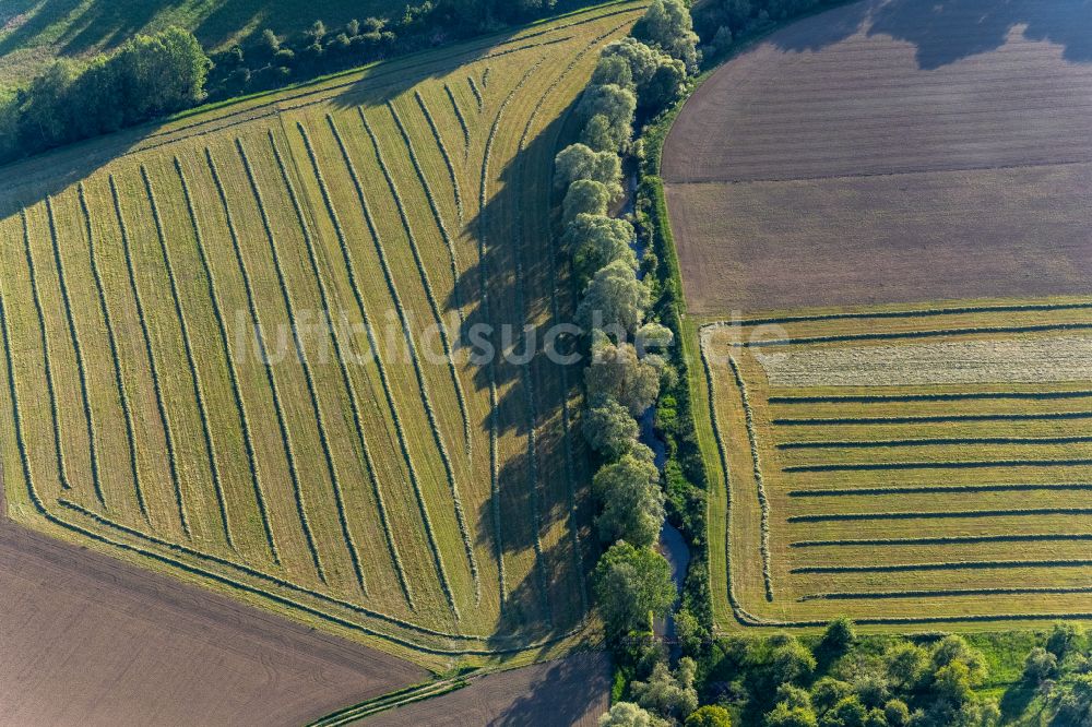 Luftaufnahme Bermatingen - Felder und Baumreihen in Bermatingen im Bundesland Baden-Württemberg, Deutschland