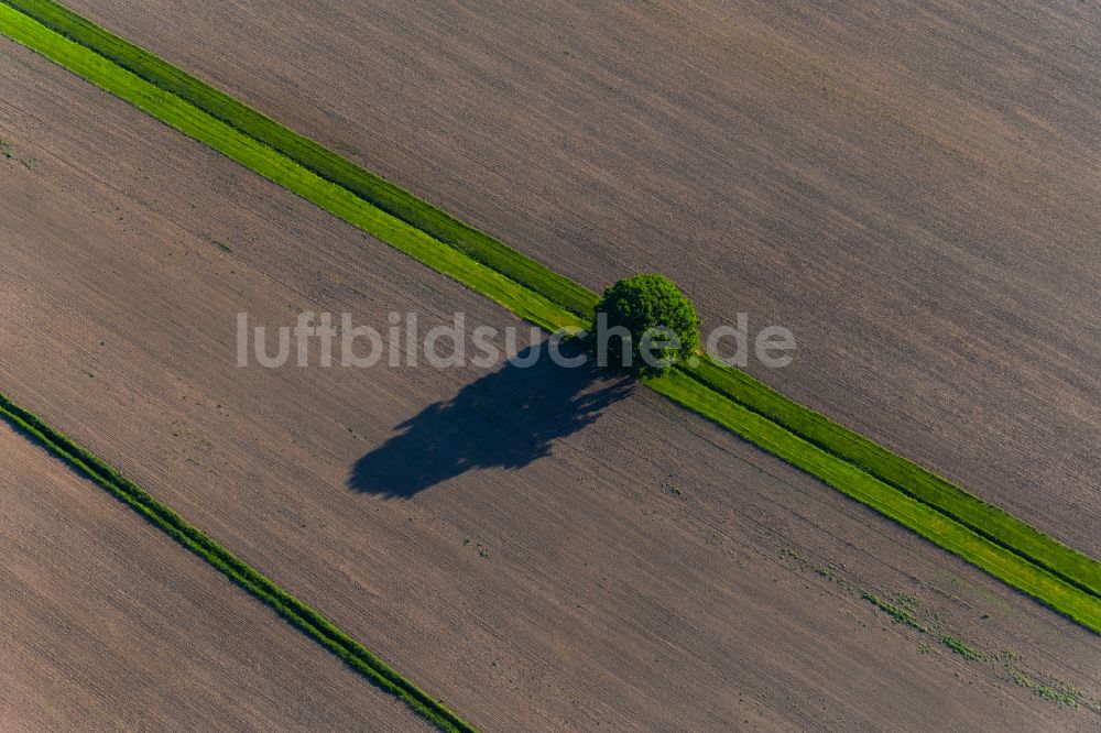 Luftbild Salem - Felder und Landwirtschaftsflächen in Salem im Bundesland Baden-Württemberg, Deutschland