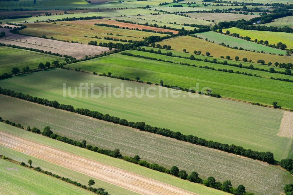 Luftbild Negernbötel - Felder umsäumt von Baumreihen in Negernbötel im Bundesland Schleswig-Holstein, Deutschland