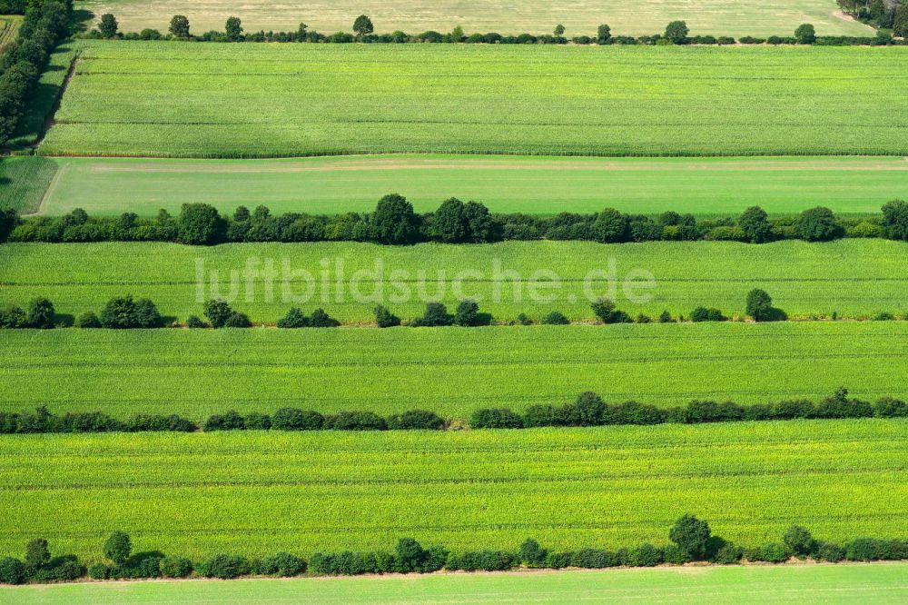 Luftaufnahme Negernbötel - Felder umsäumt von Baumreihen in Negernbötel im Bundesland Schleswig-Holstein, Deutschland