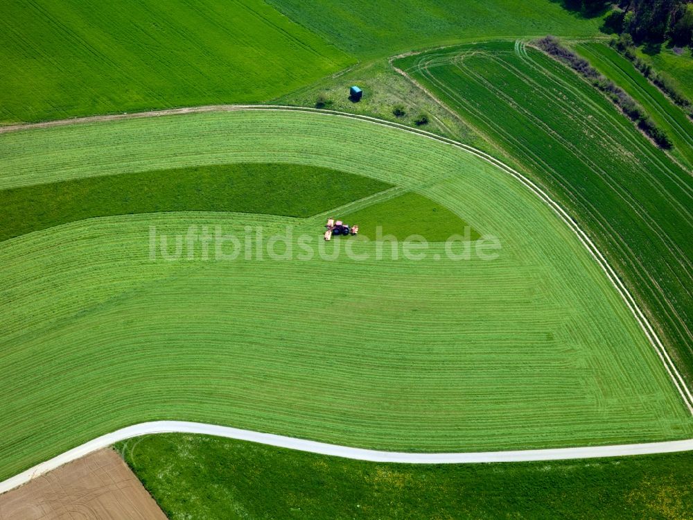 Luftaufnahme Langenau OT Albeck - Feldstrukturen bei Albeck im Bundesland Baden-Württemberg
