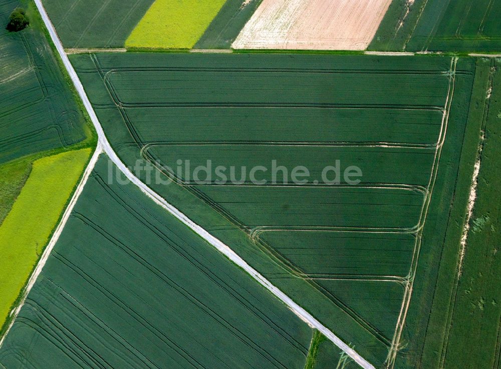 Luftaufnahme Dieburg - Feldstrukturen bei Dieburg im Bundesland Hessen