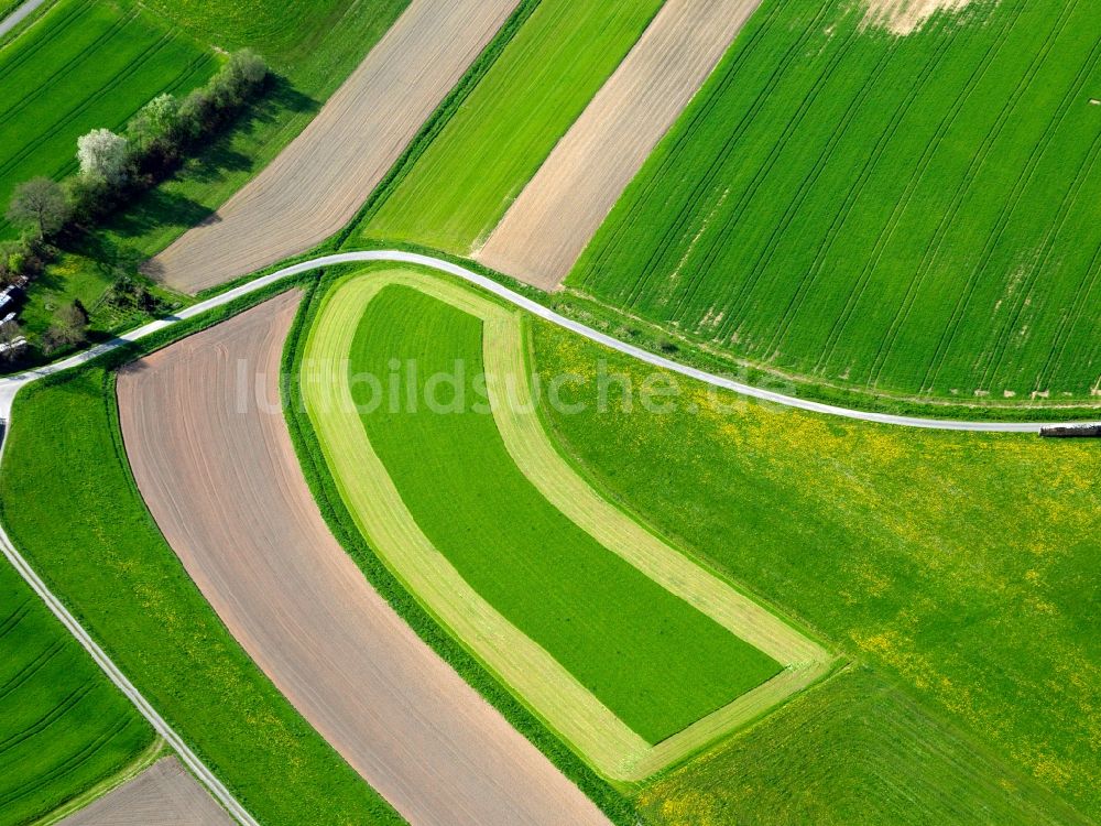 Luftbild Schlüchtern - Feldstrukturen bei Schlüchtern im Bundesland Hessen