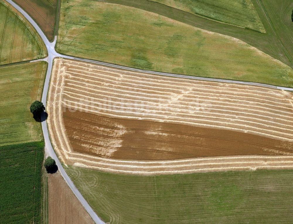 Luftbild Stühlingen OT Weizen - Feldstrukturen bei Weizen im Bundesland Baden-Württemberg