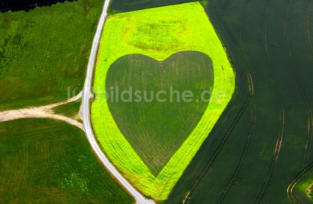 Luftbild Wewelsfleth OT Grosswisch - Feldstrukturen mit Herz bei Grosswisch in Wewelsfleth im Bundesland Schleswig-Holstein