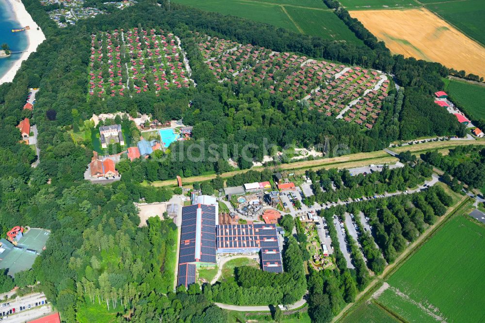 Luftbild Haren (Ems) - Ferienzentrum Schloss Dankern am Dankernsee in Haren (Ems) im Bundesland Niedersachsen, Deutschland