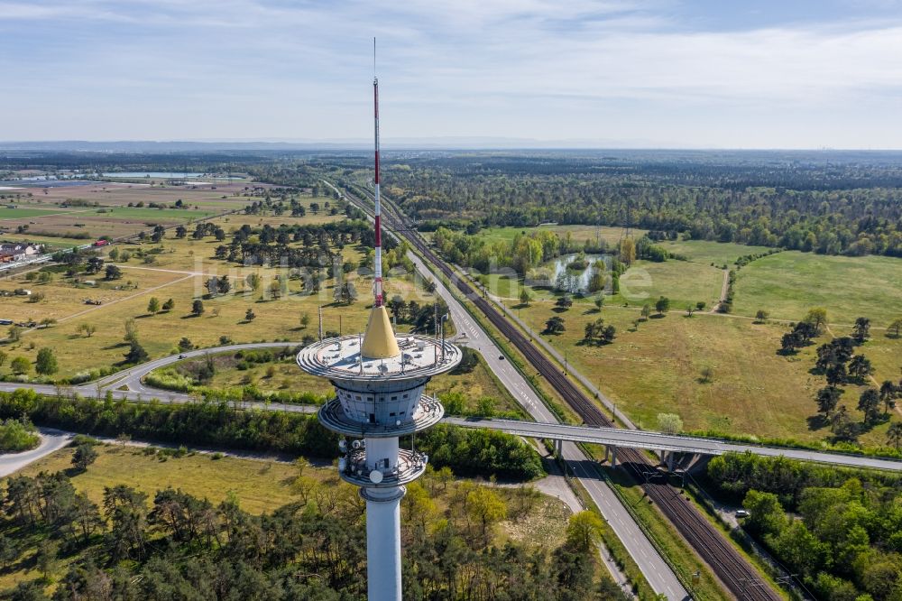 Waghäusel von oben - Fernmeldeturm und Fernsehturm im Ortsteil Wiesental in Waghäusel im Bundesland Baden-Württemberg, Deutschland