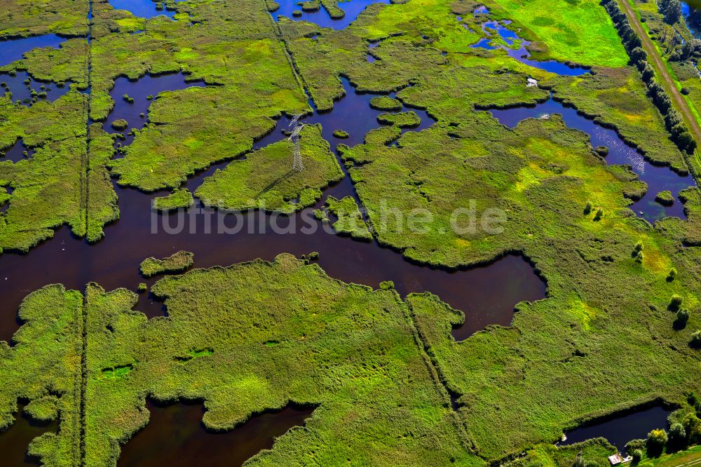 Lübben (Spreewald) aus der Vogelperspektive: Feuchtgebiet bei Lübben (Spreewald) im Bundesland Brandenburg