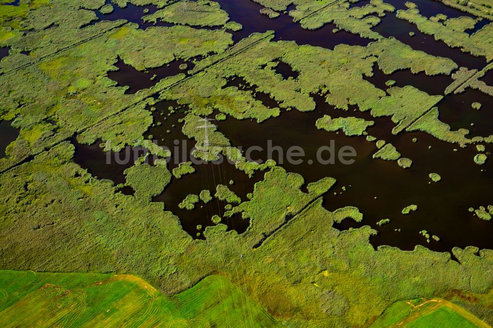 Lübben (Spreewald) aus der Vogelperspektive: Feuchtgebiet bei Lübben (Spreewald) im Bundesland Brandenburg