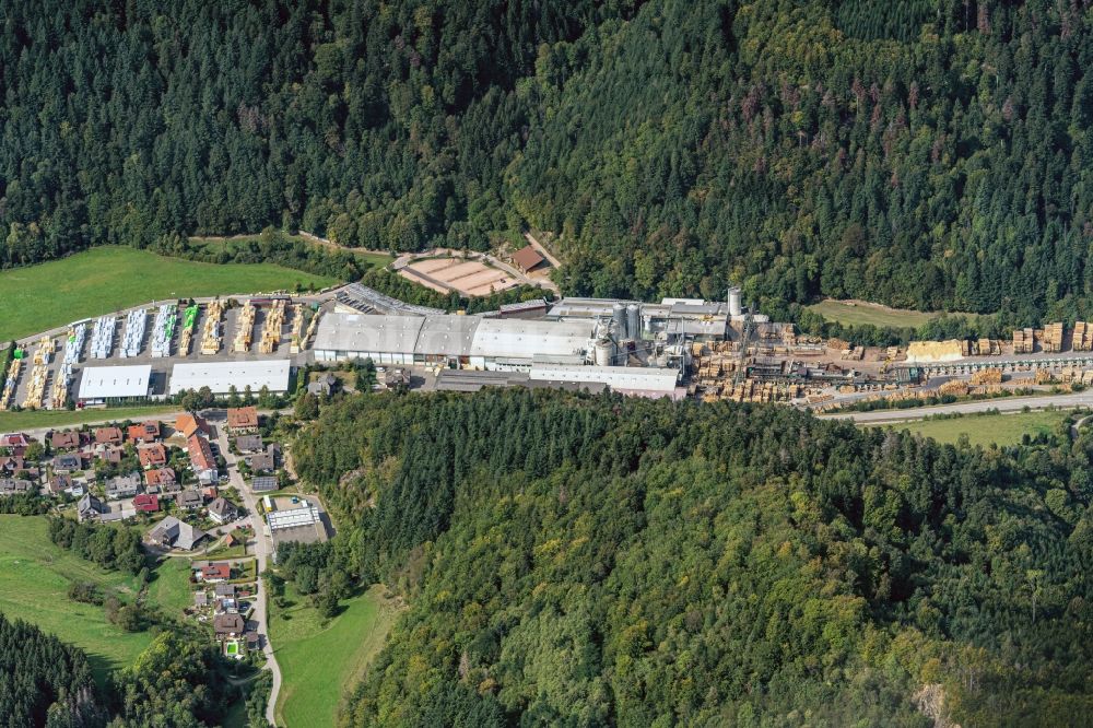 Luftbild Wagensteig - Firmengelände der Dold Holzwerke GmbH in Wagensteig im Bundesland Baden-Württemberg, Deutschland
