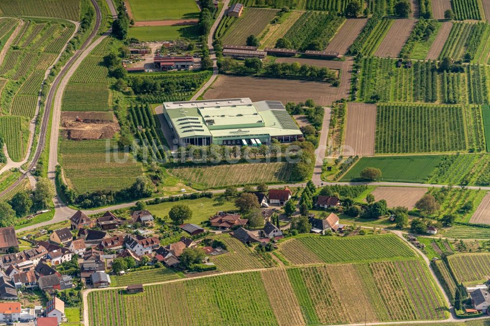 Luftaufnahme Vogtsburg im Kaiserstuhl - Firmengelände der des Erzeugergroßmarkt Südbaden eG in Vogtsburg im Kaiserstuhl im Bundesland Baden-Württemberg, Deutschland