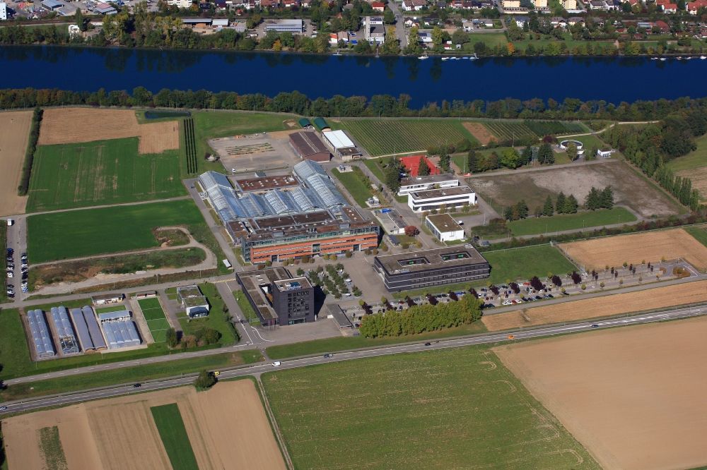 Luftbild Stein - Firmengelände und Forschungszentrum der Syngenta in Stein im Kanton Aargau, Schweiz