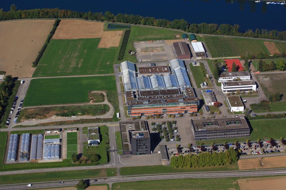 Luftaufnahme Stein - Firmengelände und Forschungszentrum der Syngenta in Stein im Kanton Aargau, Schweiz