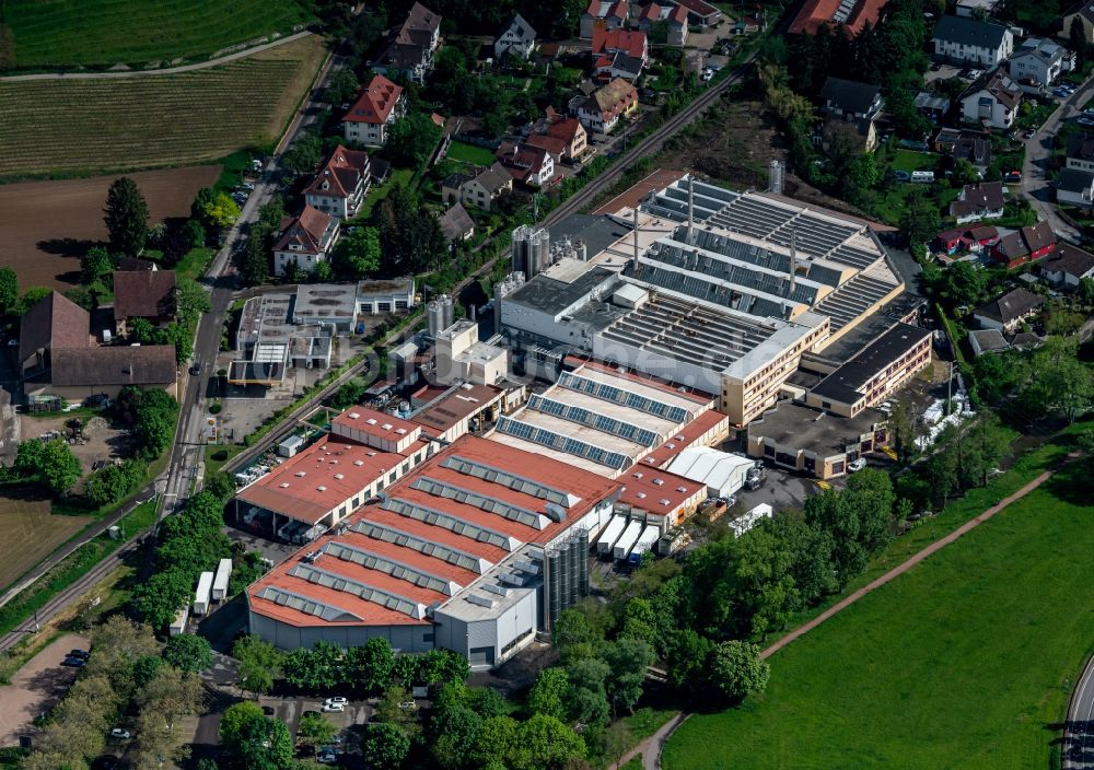 Staufen im Breisgau aus der Vogelperspektive: Firmengelände der Liveo Research GmbH Kunststoffe in Staufen im Breisgau im Bundesland Baden-Württemberg, Deutschland