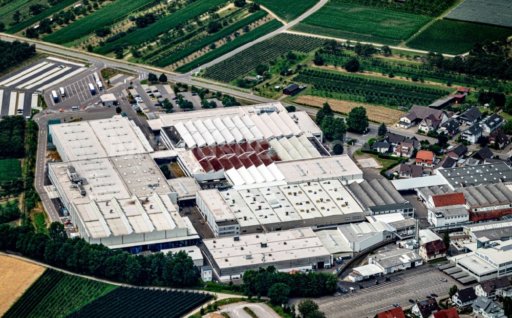 Luftbild Stadelhofen - Firmengelände der Progress-Werk Oberkirch AG in Stadelhofen im Bundesland Baden-Württemberg, Deutschland