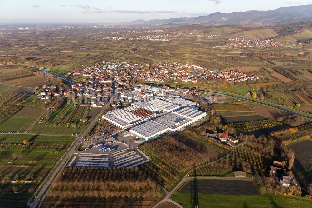 Luftaufnahme Stadelhofen - Firmengelände der Progress-Werk Oberkirch AG in Stadelhofen im Bundesland Baden-Württemberg, Deutschland