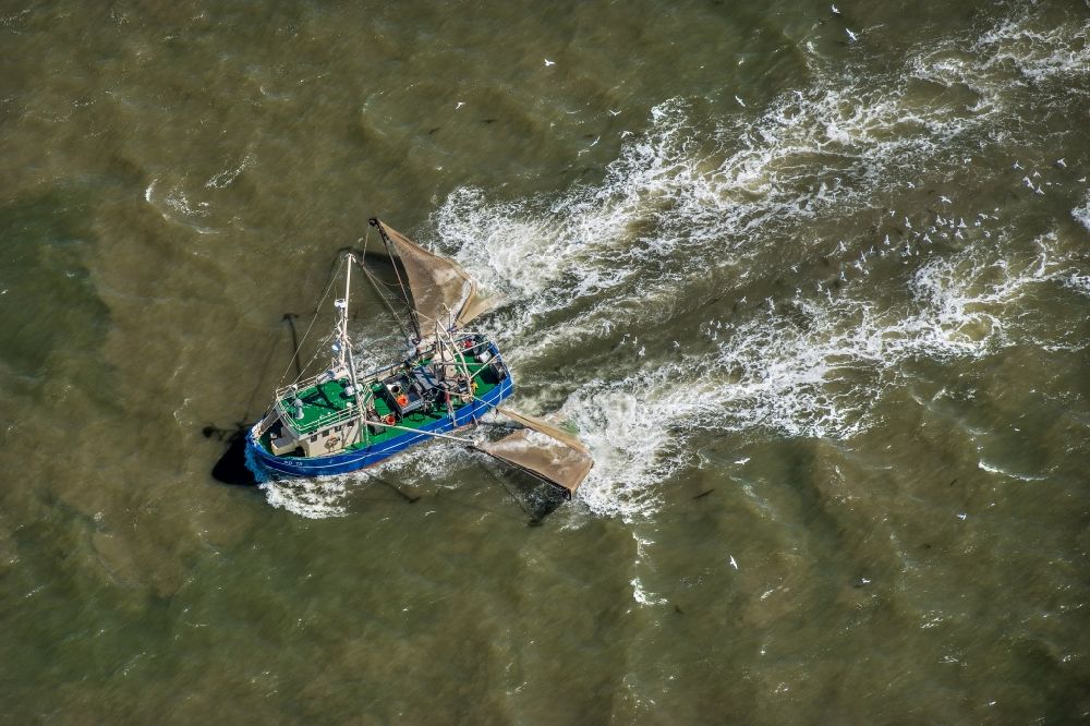 Luftbild Sankt Peter-Ording - Fischerboot vor der Insel Trischen bei Friedrichskoog in Schleswig-Holstein