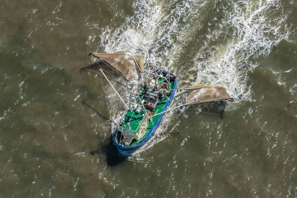 Luftaufnahme Sankt Peter-Ording - Fischerboot vor der Insel Trischen bei Friedrichskoog in Schleswig-Holstein