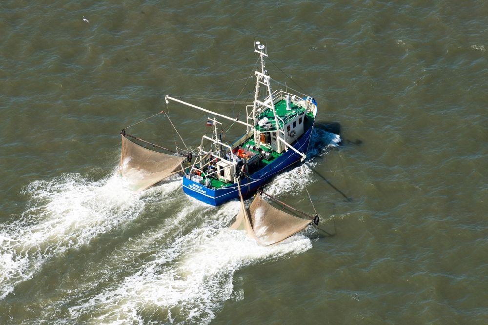 Sankt Peter-Ording aus der Vogelperspektive: Fischerboot vor der Insel Trischen bei Friedrichskoog in Schleswig-Holstein