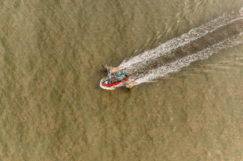 Luftaufnahme Sankt Peter-Ording - Fischerboot vor der Insel Trischen bei Friedrichskoog in Schleswig-Holstein