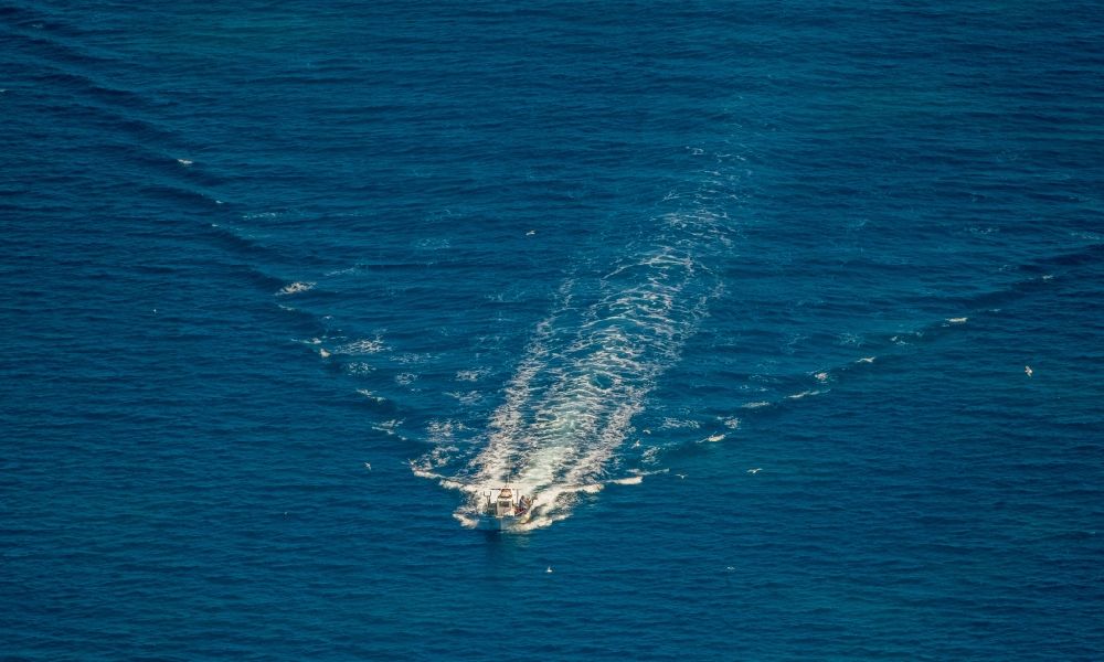 Alcudia aus der Vogelperspektive: Fischfang - Boot in Fahrt in der Bucht von Alcudia in Alcudia in Balearische Insel Mallorca, Spanien