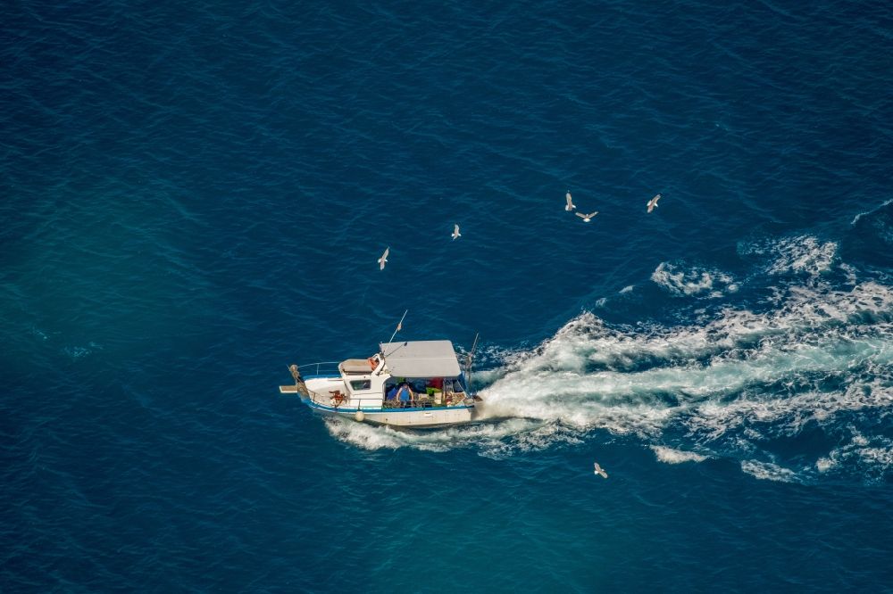 Luftbild Alcudia - Fischfang - Boot in Fahrt in der Bucht von Alcudia in Alcudia in Balearische Insel Mallorca, Spanien