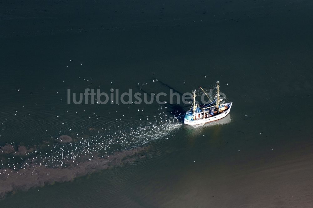 Luftbild Nordstrand - Fischfang - Schiff in Fahrt auf der Nordsee in Nordstrand im Bundesland Schleswig-Holstein, Deutschland