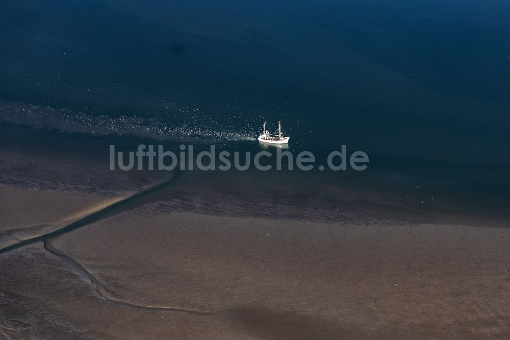 Nordstrand von oben - Fischfang - Schiff in Fahrt auf der Nordsee in Nordstrand im Bundesland Schleswig-Holstein, Deutschland