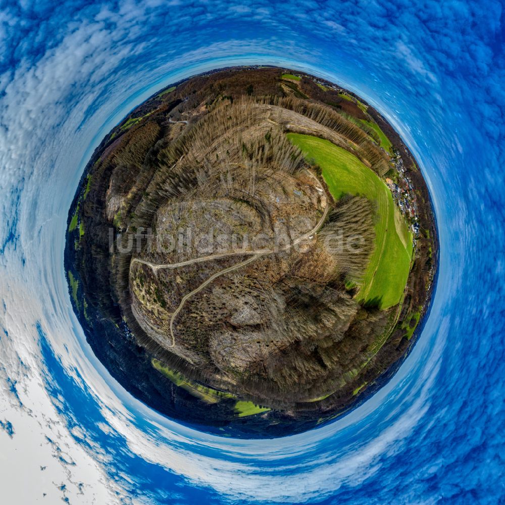 Unterbörsch aus der Vogelperspektive: Fish Eye- Perspektive Abgestorbene Baumspitzen in einem Waldgebiet in Unterbörsch im Bundesland Nordrhein-Westfalen, Deutschland