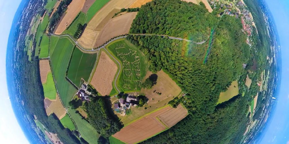 Luftbild Selm - Fish Eye- Perspektive Irrgarten - Labyrinth mit den Umrissen von Friedenssymbolen anlässlich des Krieges in der Ukraine auf einem Feld in Selm im Bundesland Nordrhein-Westfalen, Deutschland