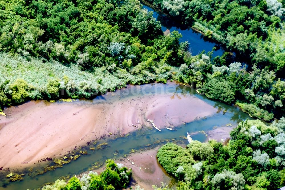 Luftaufnahme Schwanau - Fluss- Uferbereiche der Rhein Auen am Oberrhein in im Bundesland Baden-Württemberg, Deutschland
