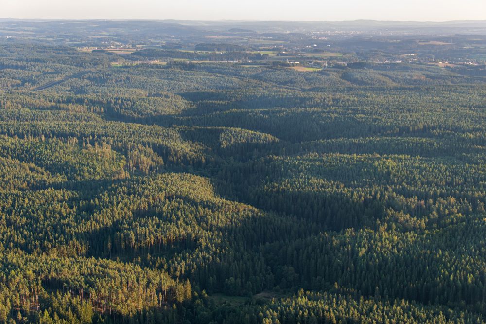 Luftaufnahme Falkenberg - Flussverlauf im Naturschutzgebiet Waldnaabtal in Falkenberg im Bundesland Bayern, Deutschland