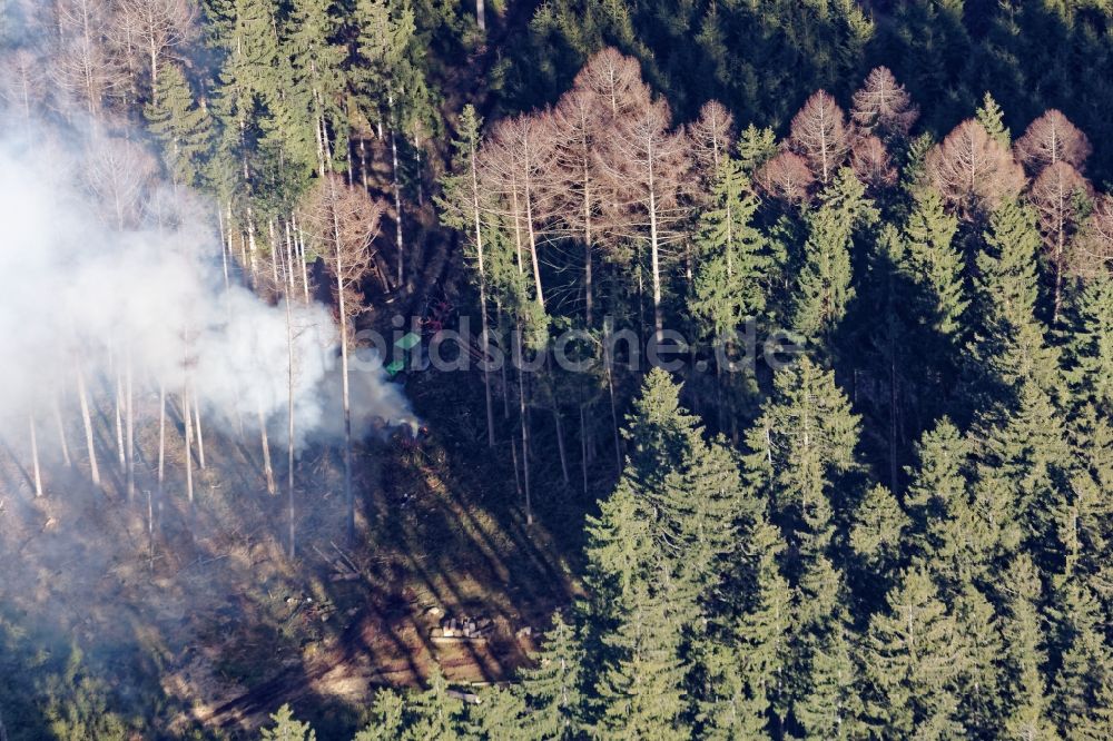 Luftaufnahme Berg - Forstarbeiten mit Feuer und Rauchschwaden im Baumbestand eines Waldgebietes und Forstgeländes bei Icking im Bundesland Bayern