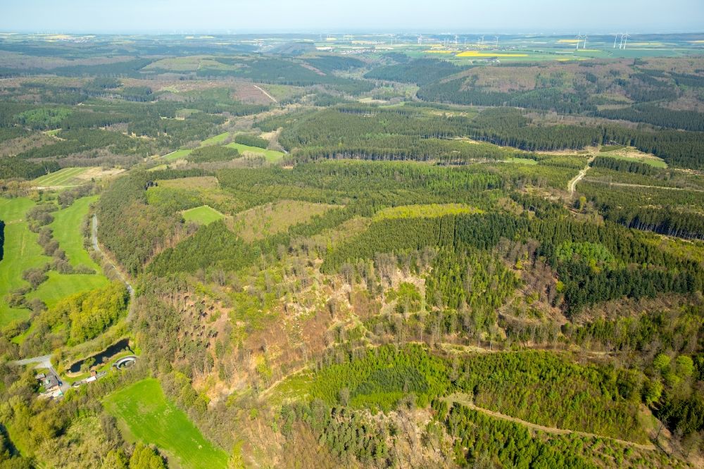 Alme aus der Vogelperspektive: Forstgebiete in einem Waldgebiet in Alme im Bundesland Nordrhein-Westfalen, Deutschland
